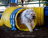 SCAC_Nov17Day1_1876