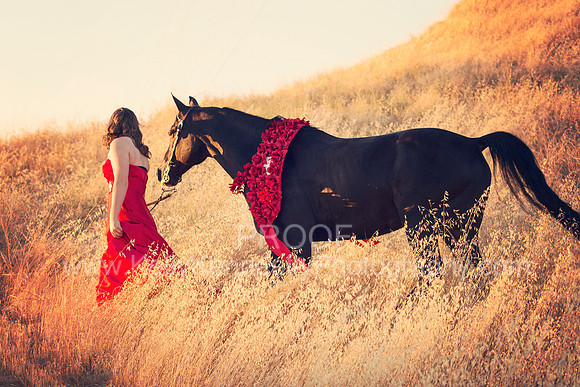 FryerGirls16_6313