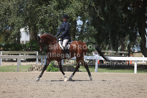 DAHA22_Thurs_1297