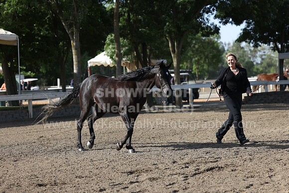 DAHA22_Fri_1439