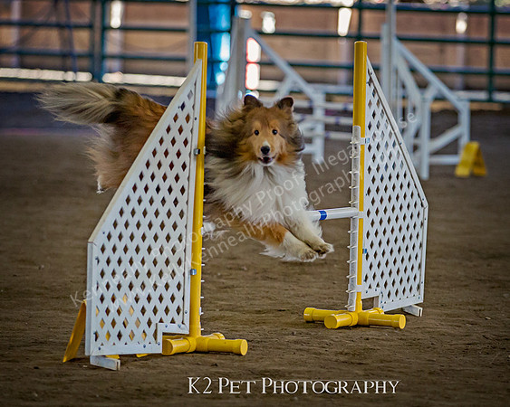 SCAC_Nov17Day3_8830