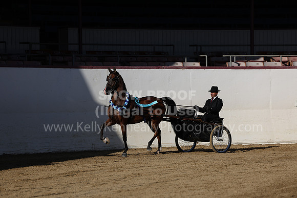 R2_22_Thurs_5528