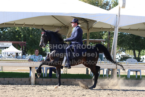 DAHA_FF22_1556