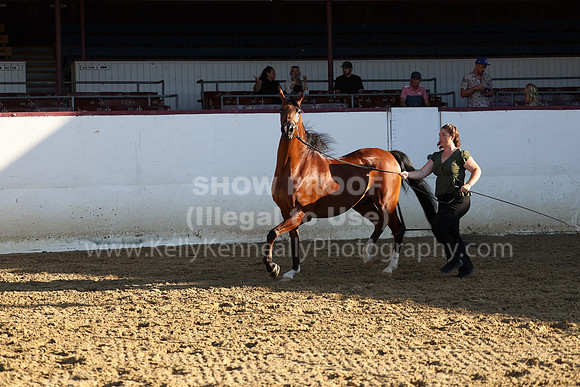 R2_22_Thurs_7007