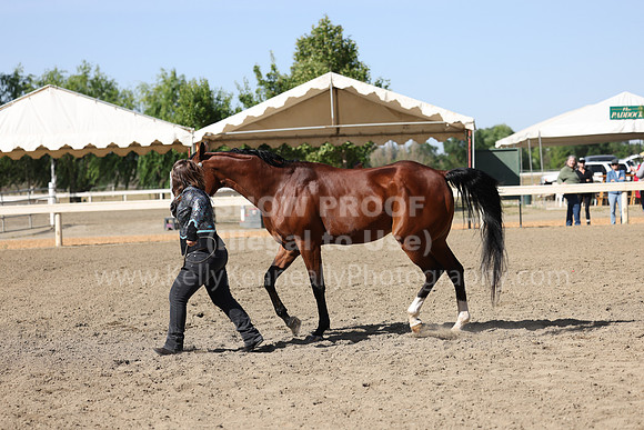 DAHA22_Fri_1681