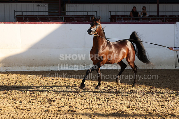 R2_22_Thurs_6789