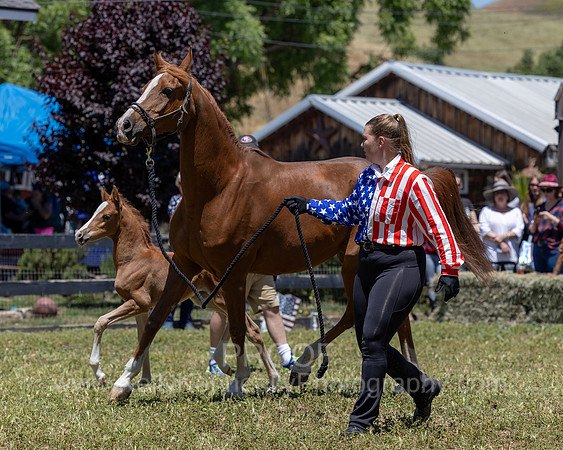 ShermanRanch0524_1722