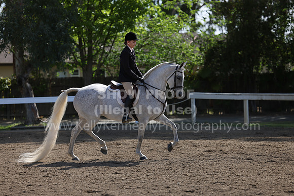 DAHA22_Thurs_0676
