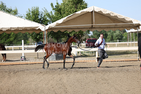 DAHA22_Fri_1416