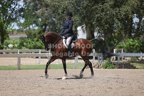 DAHA22_Thurs_1298