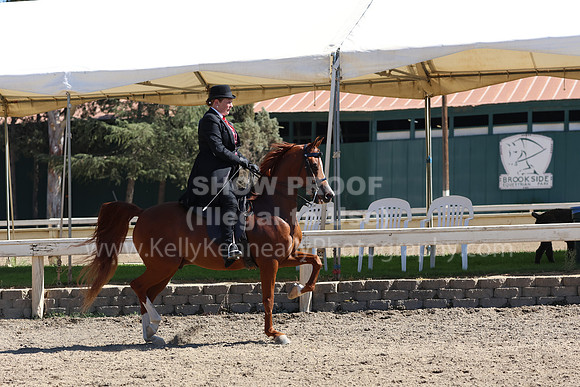DAHA_FF22_5463