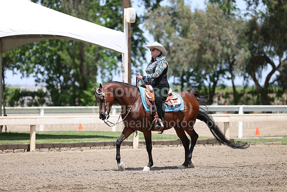 DAHA22_Thurs_0968