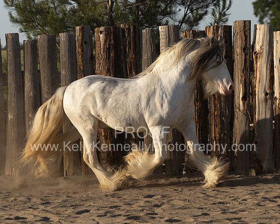 ThunderMay25_3481