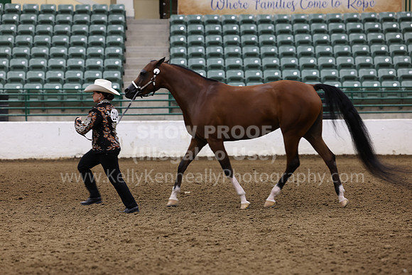 R322_CH_Thurs_2649