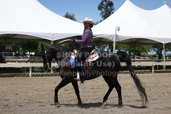 DAHA22_Thurs_1049