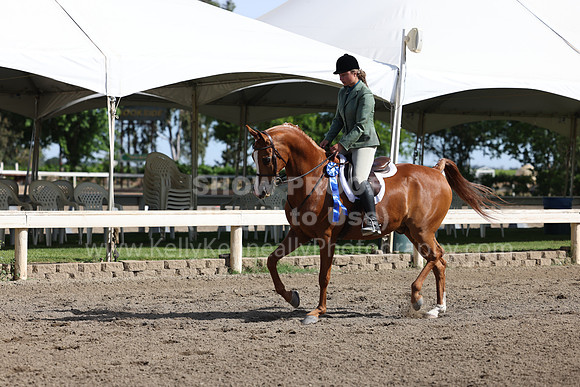 DAHA22_Thurs_0373