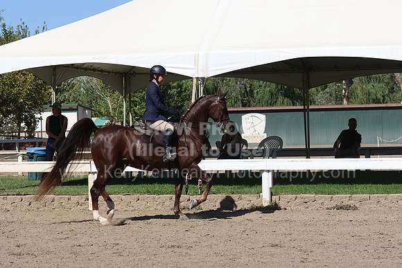 DAHA_FF22_2565