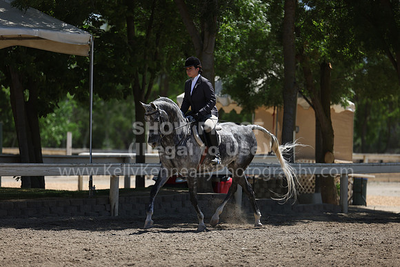 DAHA22_Thurs_1290