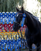 HodgesRibbons24_4238