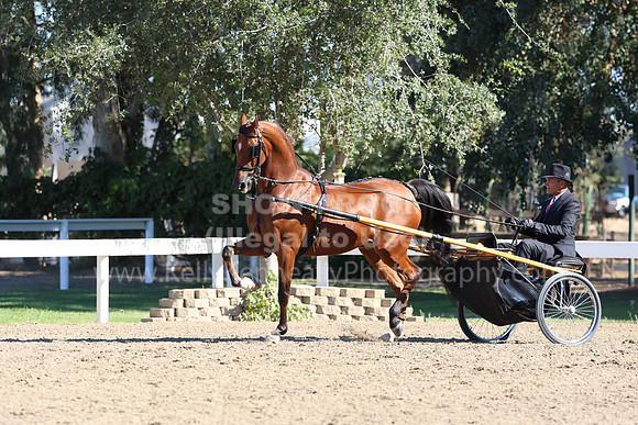 DAHA_FF22_0400