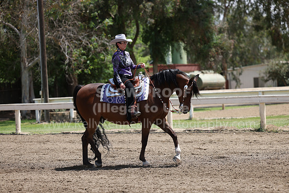 DAHA22_Thurs_0983