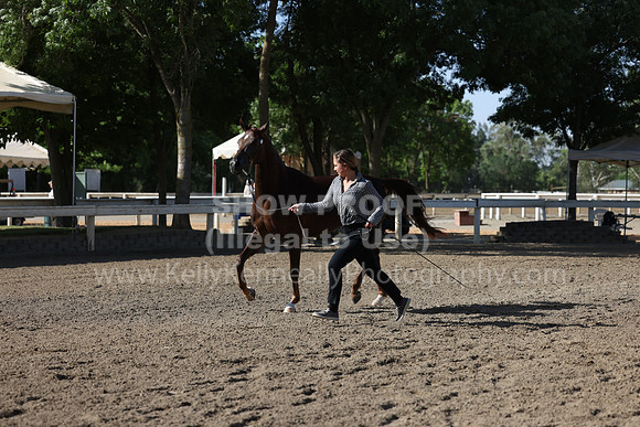 DAHA22_Fri_1552