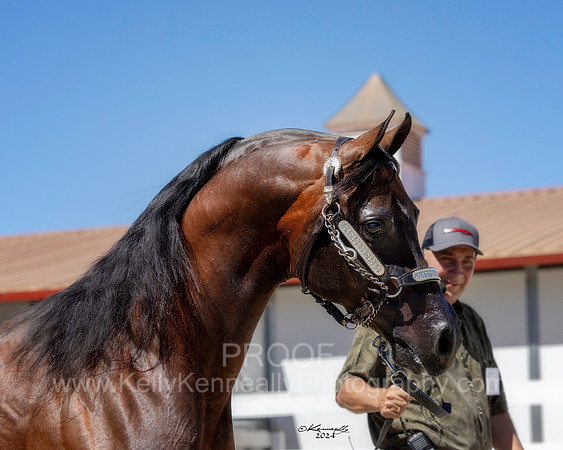 BeckersExtravaganza24_Sat1_0666
