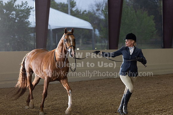 AHANC22_R5_Wed_0415