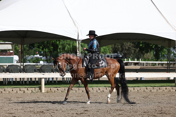 DAHA22_Thurs_0579