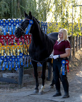 HodgesRibbons24_4216