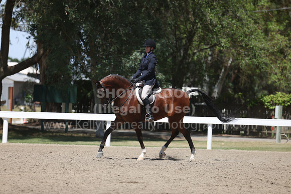 DAHA22_Thurs_1296