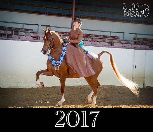 2017_KKPWebsite_R2CL1075fb