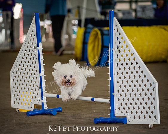 SCAC_Nov17Day3_10016