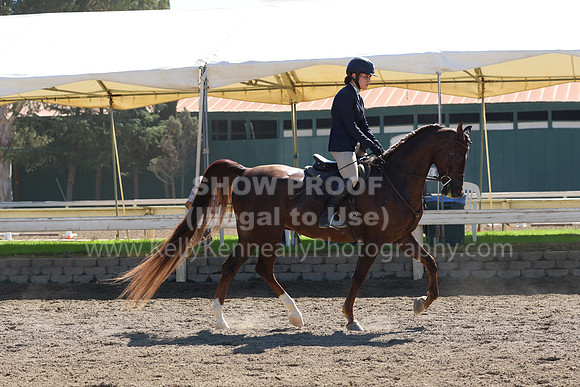 DAHA_FF22_2604