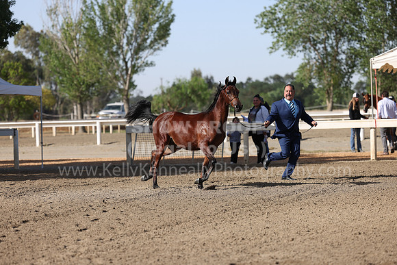 DAHA22_Fri_1475