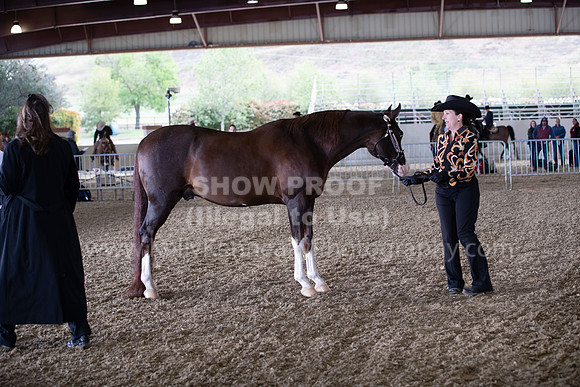 AHANC22_WedAM_0007