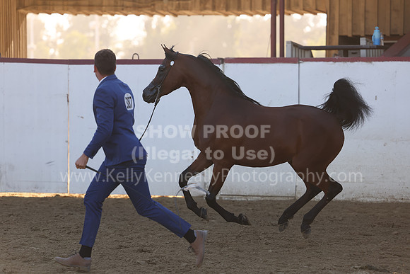 R2_22_Thurs_6417