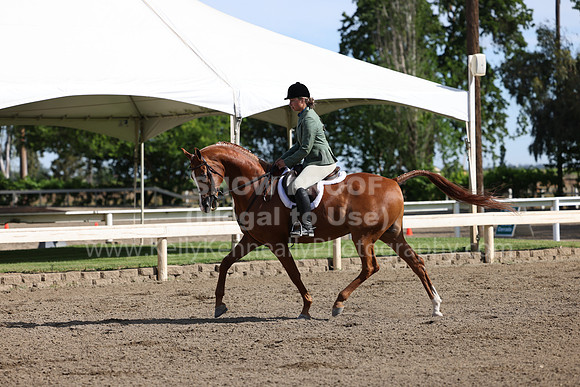 DAHA22_Thurs_0354