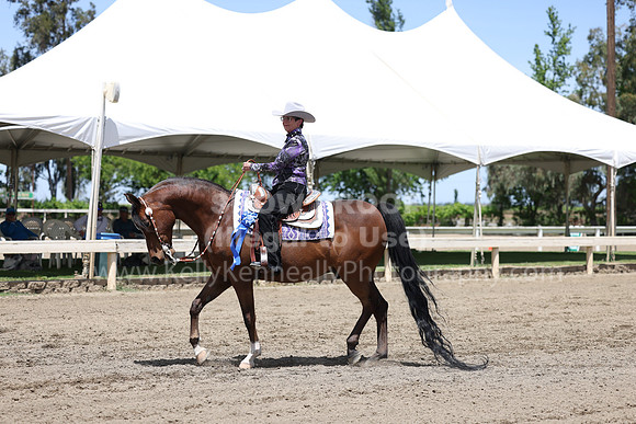 DAHA22_Thurs_0988