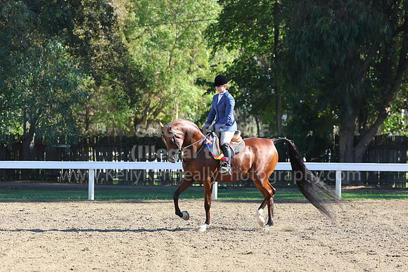 DAHA_FF22_4151