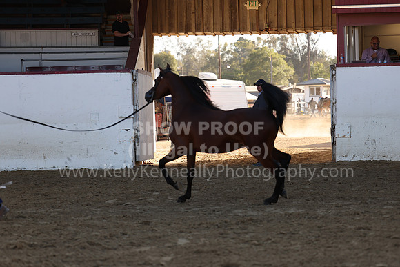 R2_22_Thurs_6479