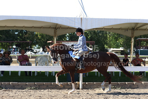 DAHA_FF22_1503