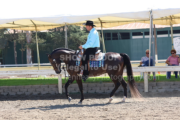 DAHA_FF22_2777