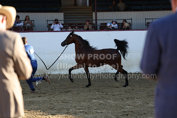 R2_22_Thurs_6488