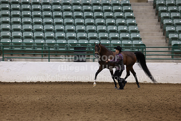 R322_CH_Thurs_2640