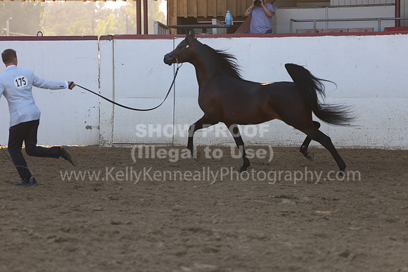 R2_22_Thurs_6749