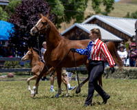ShermanRanch0524_1721