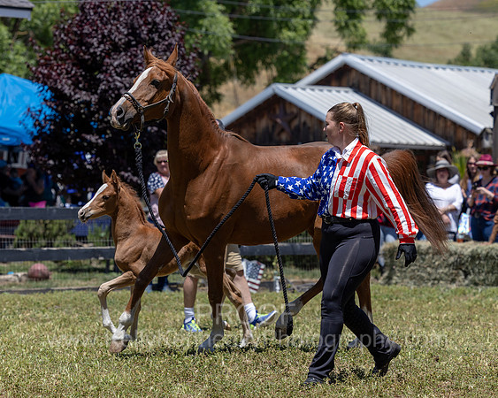 ShermanRanch0524_1721