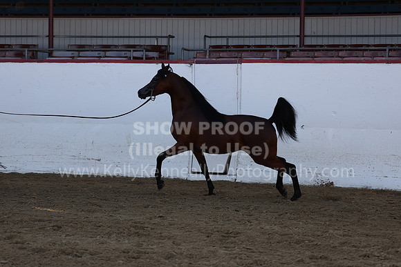 R2_22_Thurs_6265