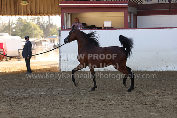 R2_22_Thurs_6463